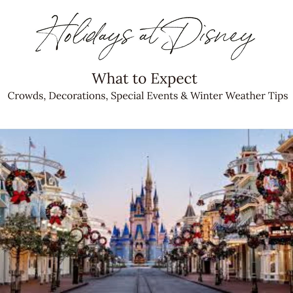 The Travel Home Holidays at Disney