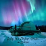 The Travel Home Alaska in Winter