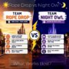 The Travel Home rope drop vs night strategy